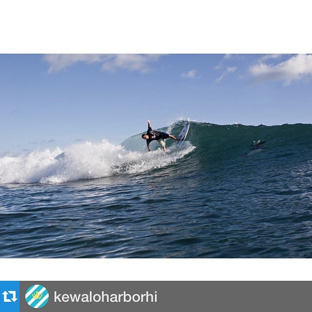 Check out the new @kewaloharborhi Instagram! #kewalos  @lancifervisual ・・・ Pro surfer and Volcom team manager Jason Shibata points his board to the 12 o’clock position